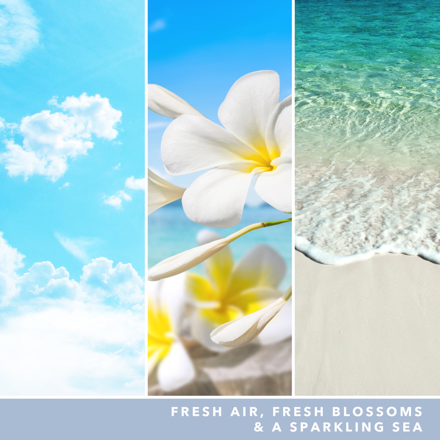 Ocean Air Signature Medium Jar 368g