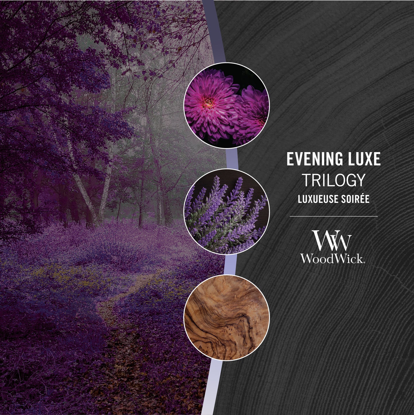 Evening Luxe Trilogy 275g