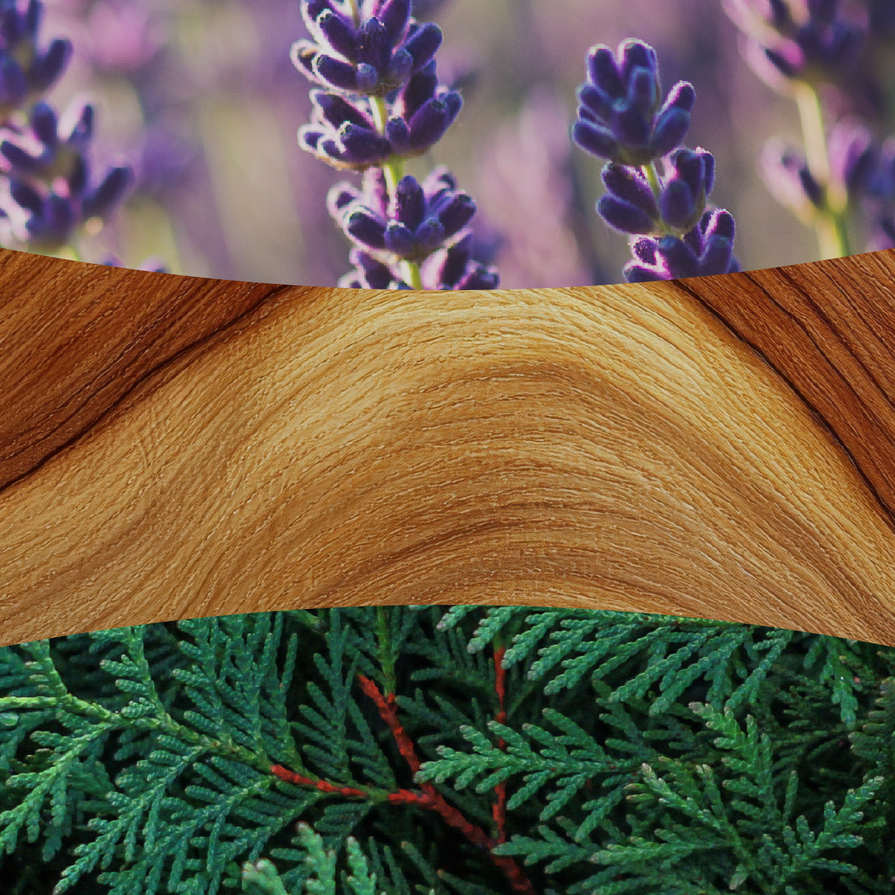 Lavender & Cedar 85g