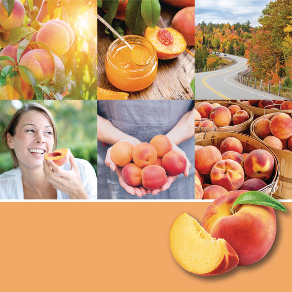 Farm Fresh Peach Medium Jar 368g