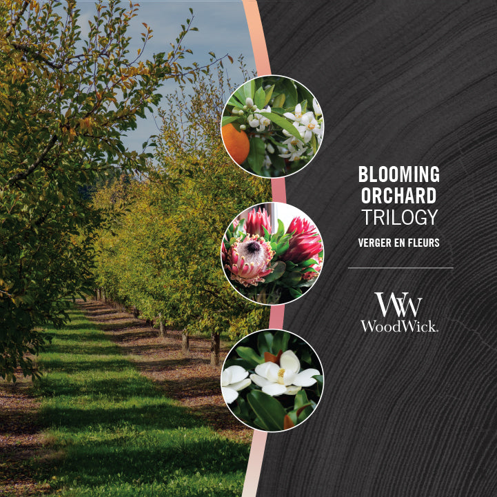 Blooming Orchard Trilogy 275g