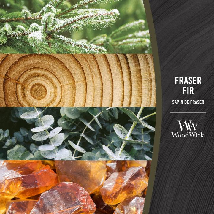 Fraser Fir 454g