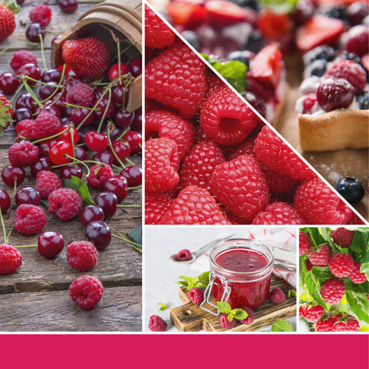 Red Raspberry Signature Small Tumbler 122g