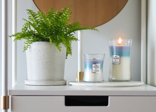 Calming Retreat Trilogy 275g