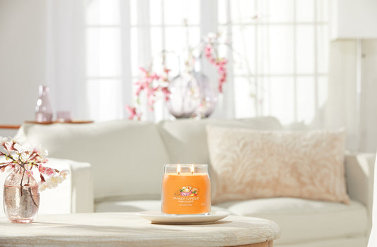 Mango Ice Cream Medium Jar 368g