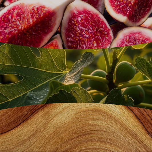 Verdant Fig 85g