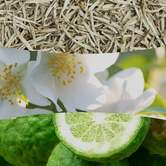 White Tea & Jasmine 85g